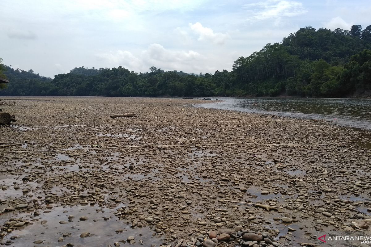 Kemarau Belum Berakhir, Long Pahangai dan Long Apari Terancam Krisis Pangan