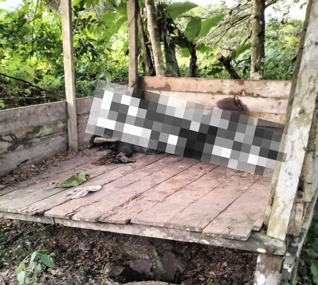 Jasad Wanita Ditemukan Membusuk di Hutan