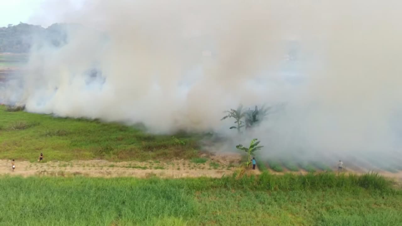 Dilakukan Dua Pria Berbaju Hitam, Dua Hektare Lahan di Betapus Terbakar