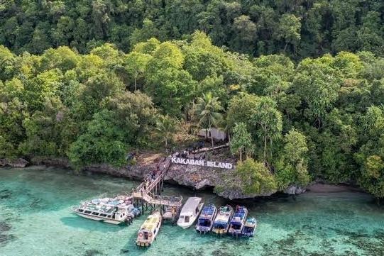 Pengelolaan Tak Profesional, Pulau Kakaban Jadi Sarang Pungli