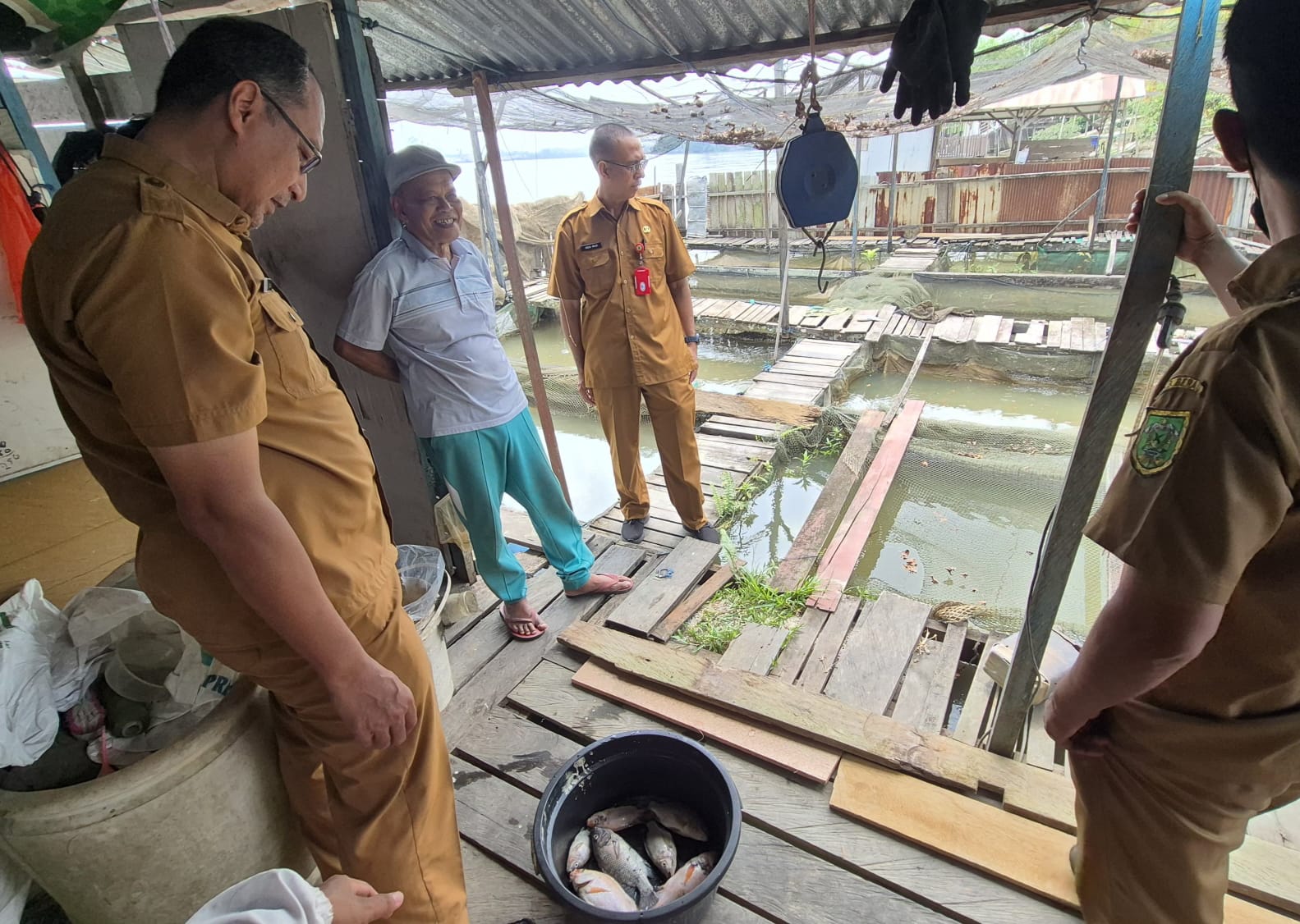 Kualitas Air Menurun, Ikan Budidaya di Bujangga Mati Massal