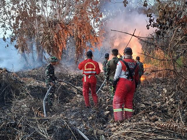 Oknum Pembakar Lahan Diketahui, Polres Samarinda Segera Tetapkan Status