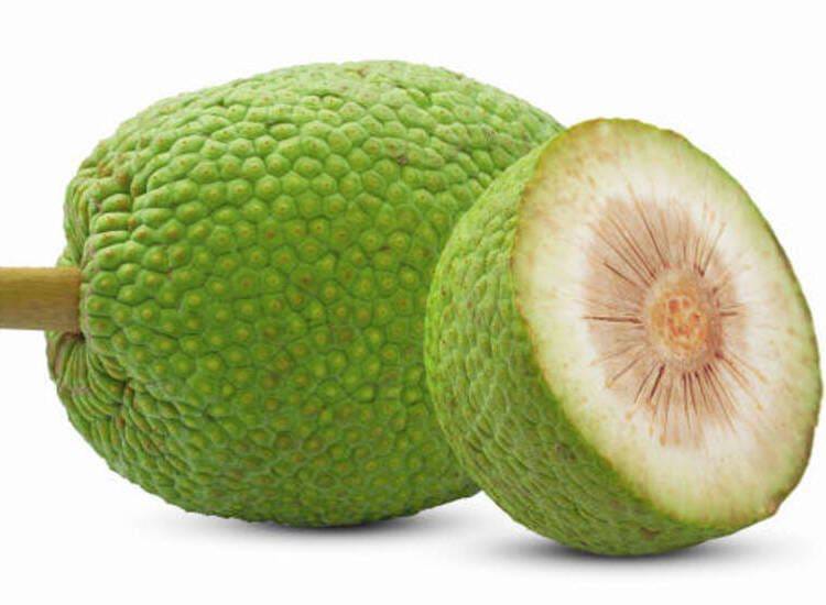 Dianggap Buah Biasa, Sukun Ternyata Super Food di Luar Indonesia