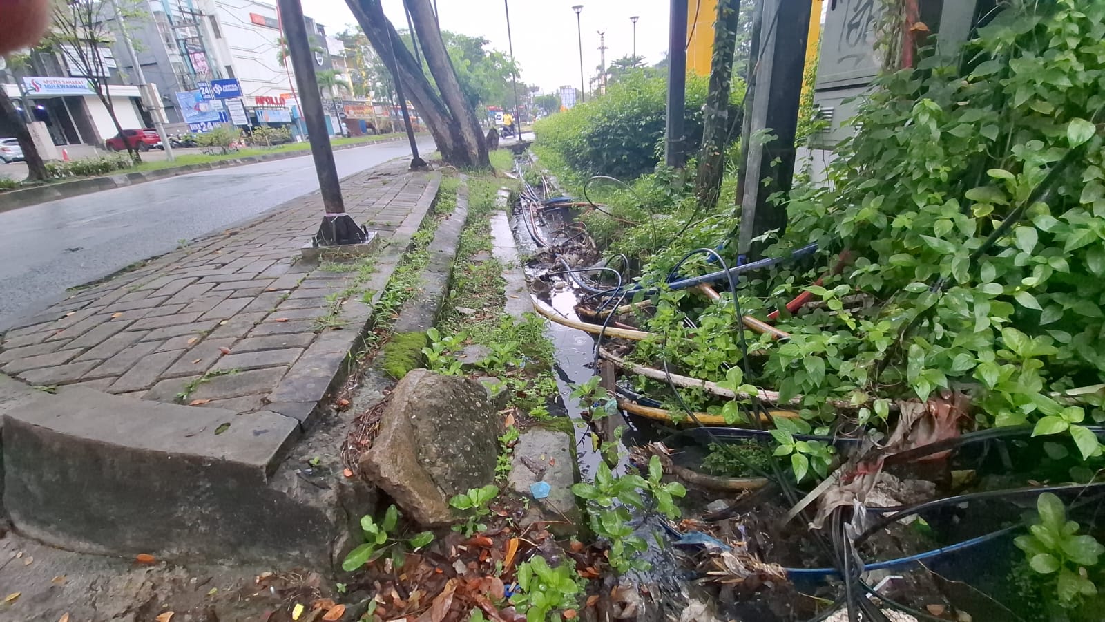 Barcelona Kabel Menumpuk di Parit, Program Penanganan Banjir Samarinda Terganggudi Kandang, Flick Lepas Lewi dengan Emosional
