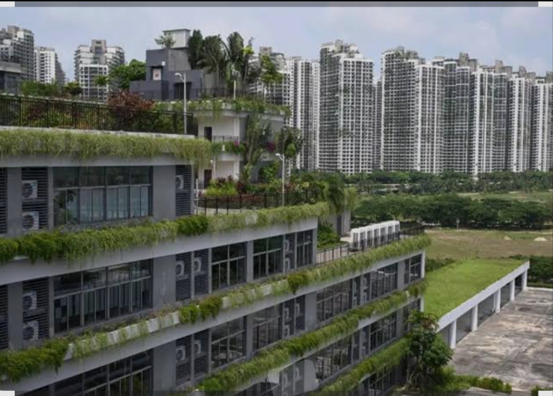 Forest City, Wacana Kota Mewah di Johor yang Berubah Jadi Kota Hantu