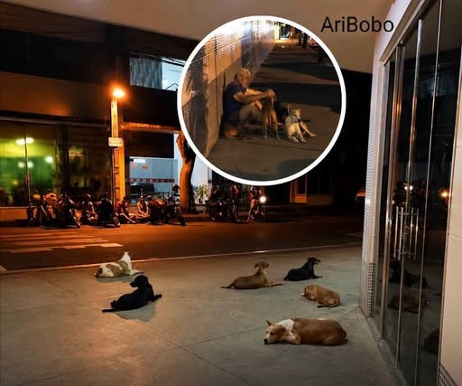 Luiz dan Enam Anjing yang Setia, Rela Menunggu di Rumah Sakit saat Tuannya Dirawat